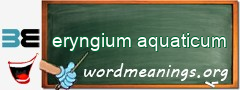 WordMeaning blackboard for eryngium aquaticum